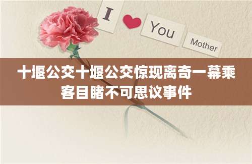 十堰公交十堰公交惊现离奇一幕乘客目睹不可思议事件