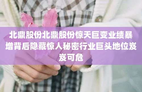 北鼎股份北鼎股份惊天巨变业绩暴增背后隐藏惊人秘密行业巨头地位岌岌可危