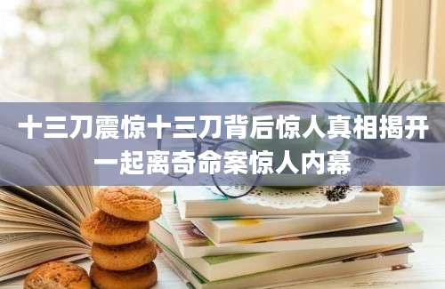 十三刀震惊十三刀背后惊人真相揭开一起离奇命案惊人内幕