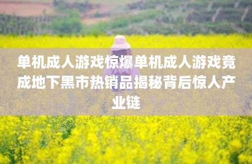 单机成人游戏惊爆单机成人游戏竟成地下黑市热销品揭秘背后惊人产业链