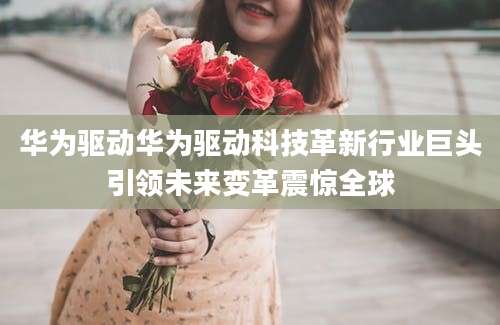 华为驱动华为驱动科技革新行业巨头引领未来变革震惊全球
