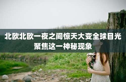 北欧北欧一夜之间惊天大变全球目光聚焦这一神秘现象