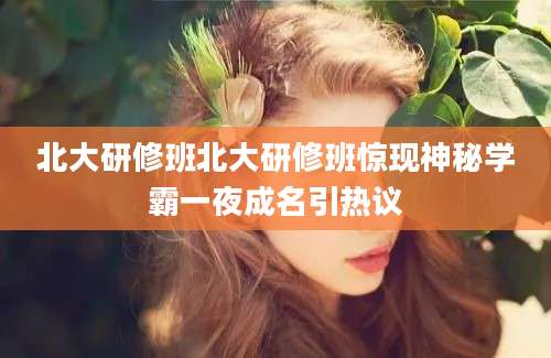 北大研修班北大研修班惊现神秘学霸一夜成名引热议