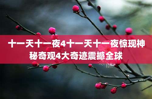十一天十一夜4十一天十一夜惊现神秘奇观4大奇迹震撼全球