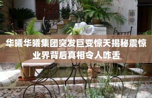 华曦华曦集团突发巨变惊天揭秘震惊业界背后真相令人咋舌