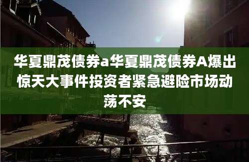 华夏鼎茂债券a华夏鼎茂债券A爆出惊天大事件投资者紧急避险市场动荡不安