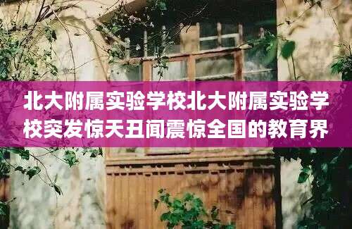 北大附属实验学校北大附属实验学校突发惊天丑闻震惊全国的教育界