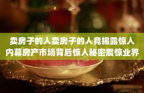 卖房子的人卖房子的人竟揭露惊人内幕房产市场背后惊人秘密震惊业界