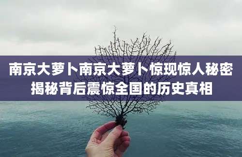 南京大萝卜南京大萝卜惊现惊人秘密揭秘背后震惊全国的历史真相