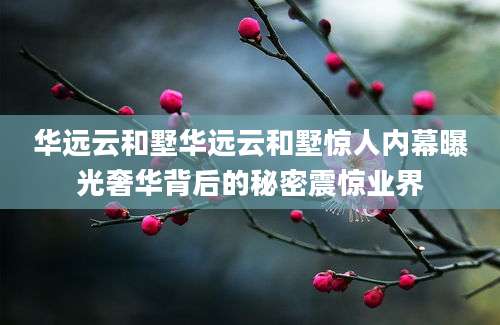 华远云和墅华远云和墅惊人内幕曝光奢华背后的秘密震惊业界