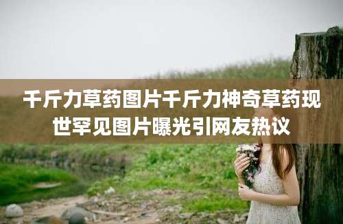 千斤力草药图片千斤力神奇草药现世罕见图片曝光引网友热议