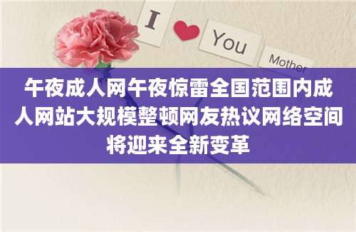 午夜成人网午夜惊雷全国范围内成人网站大规模整顿网友热议网络空间将迎来全新变革