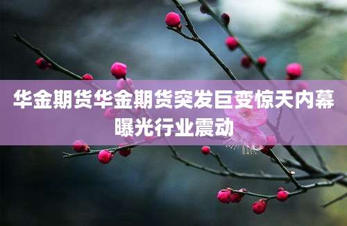 华金期货华金期货突发巨变惊天内幕曝光行业震动