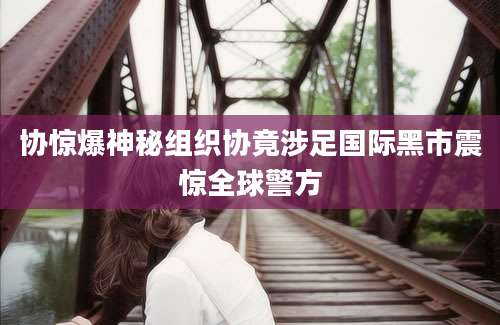 协惊爆神秘组织协竟涉足国际黑市震惊全球警方