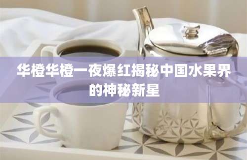 华橙华橙一夜爆红揭秘中国水果界的神秘新星