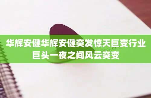 华辉安健华辉安健突发惊天巨变行业巨头一夜之间风云突变