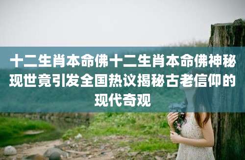 十二生肖本命佛十二生肖本命佛神秘现世竟引发全国热议揭秘古老信仰的现代奇观